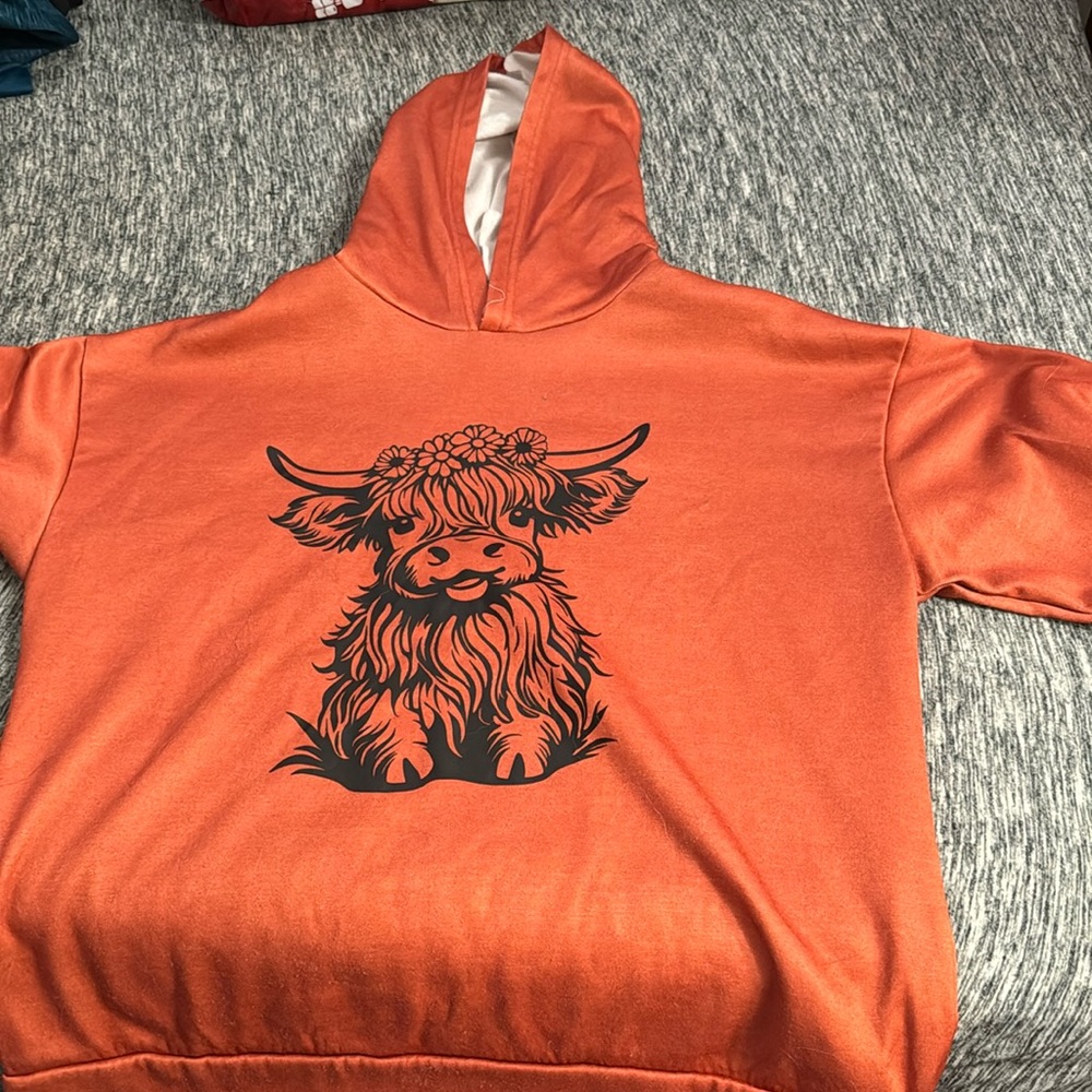 Orange highland cow sweatshirt.Sweatshirt is thinner and size large.Hardly worn